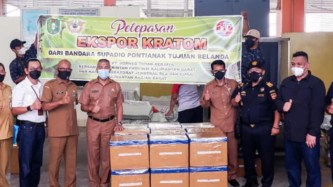 BNN saat ini sedang berkoordinasi dengan Kementerian Kesehatan agar kratom dimasukkan ke dalam jenis narkotika golongan 1.&nbsp;