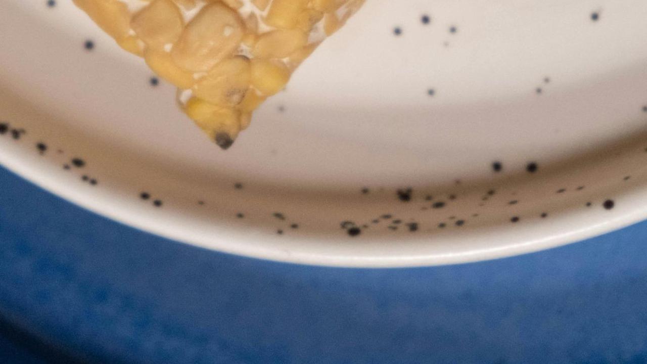 Makan Tahu Tempe Bikin Asam Urat? Ini Berbagai Pantangannya