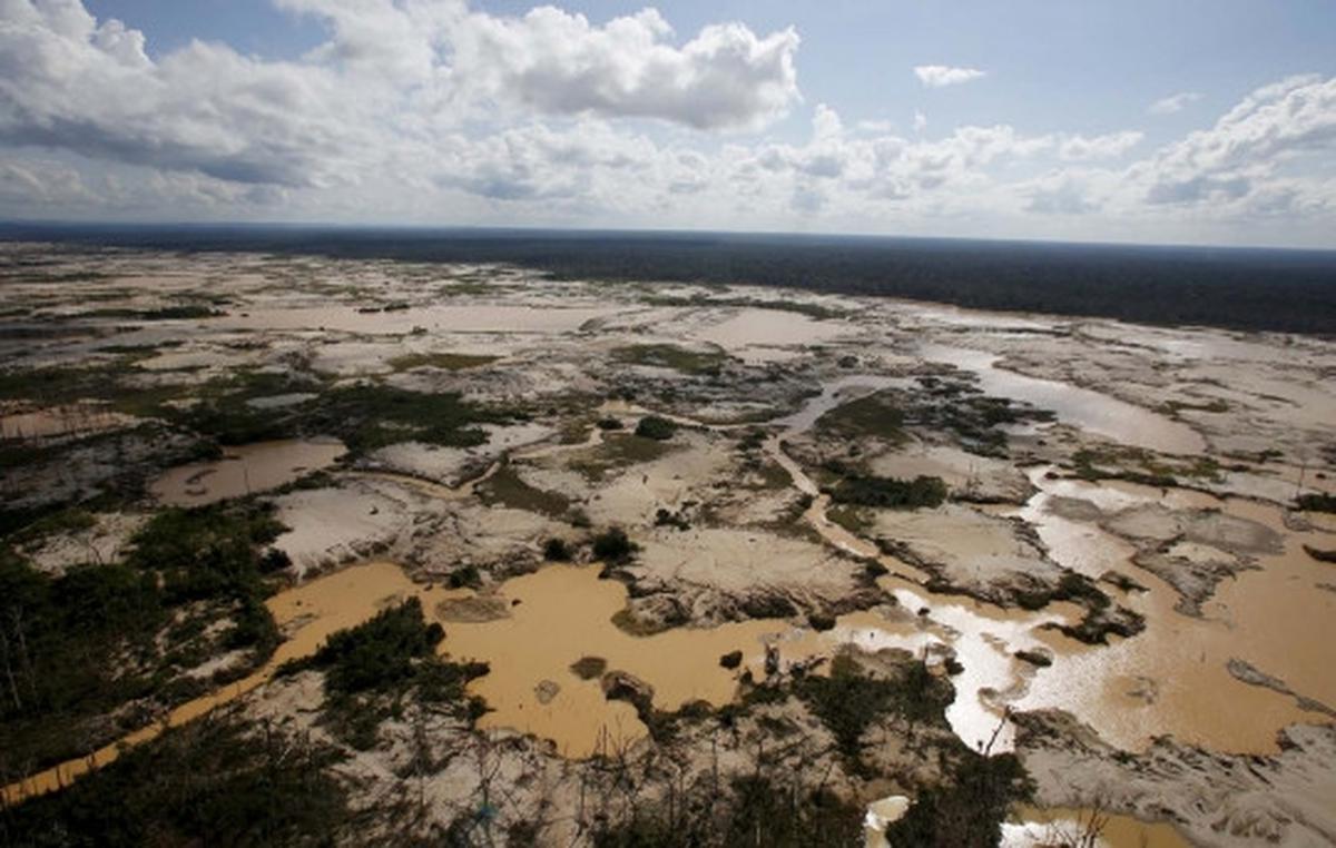 Begini kondisi hancur Hutan Amazon yang digerogoti tambang liar