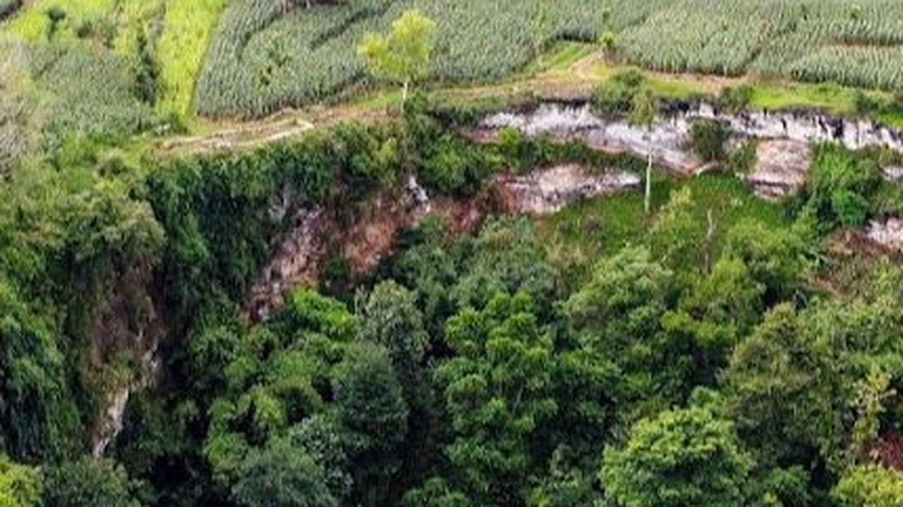Gua Sebesar Stadion Ini Punya Hutan Bawah Tanah Eksotis, Hidden Gems Tuban yang Berpotensi Viral
