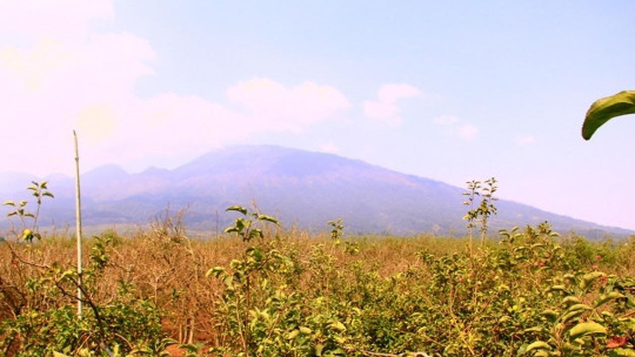 Beragrowisata ke kebun apel di Kota Batu