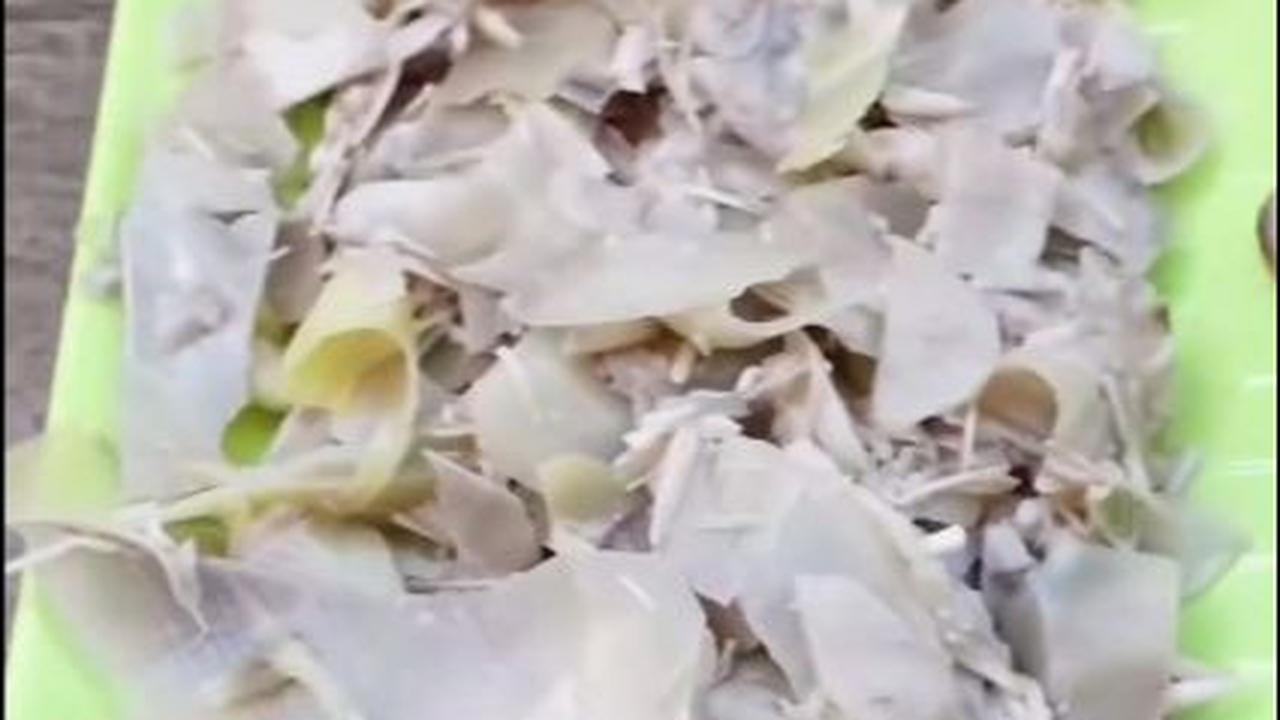 Jantung Pisang Tetap Putih