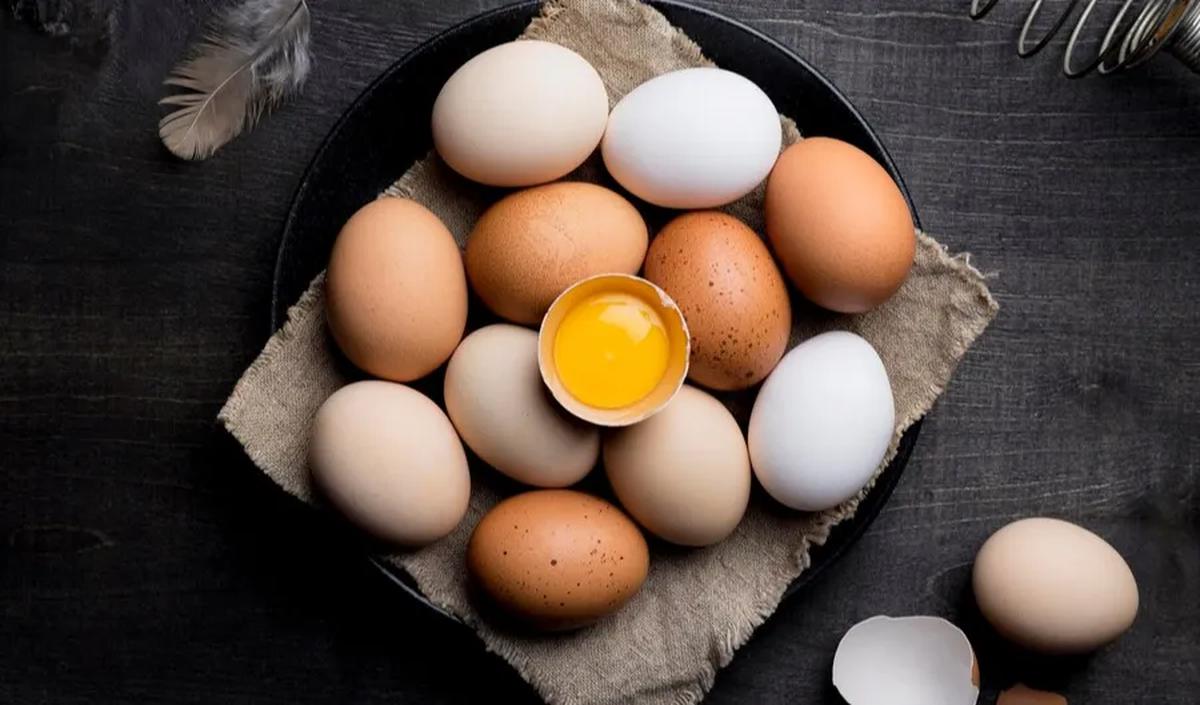1.&nbsp;Telur