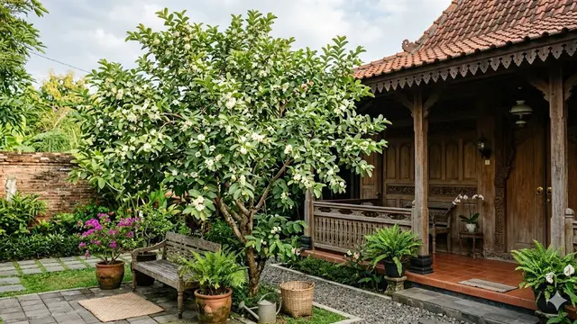 Pohon Buah Berbunga Indah