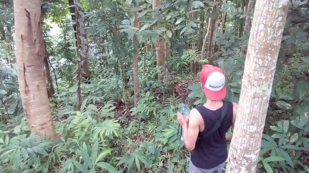 Desa Wadas terletak di Kecamatan Bener, Kabupaten Purworejo, Jawa Tengah