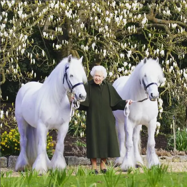 Ratu Elizabeth II Genap Berusia 96 Tahun, Rayakan dengan Berfoto Bersama Kuda Poni