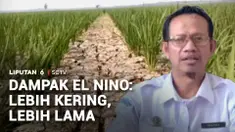 Kekeringan di musim kemarau kali ini cukup ekstrem karena fenomena El Nino. Tak hanya mengganggu pasokan air, fenomena El Nino juga berdampak pada kualitas udara.