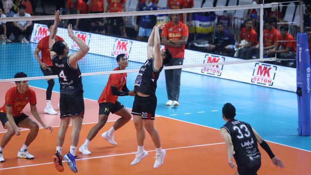 LavAni Livin' Transmedia