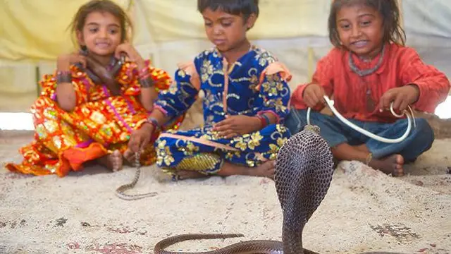 Suku Vadi India