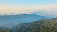 6 Fakta Menarik Gunung Buyung di Bandung, Jalur Pendakian Lewati Hutan Bambu dan Rotan
