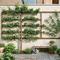 Inspirasi Espalier di Lahan Sempit Rumah (created by AI)