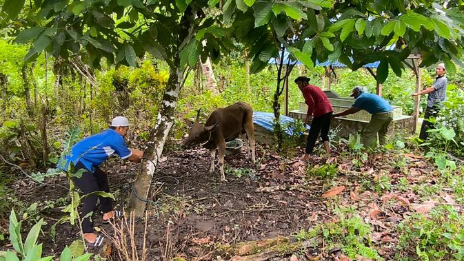 Sepenggal Kisah dari Pulau Buru: Berkurban tanpa Memandang Perbedaan