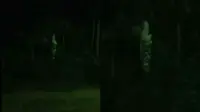 Viral Penampakan Diduga Pocong di Tengah Hutan, Bikin Merinding (sumber: TikTok/aku_ton)