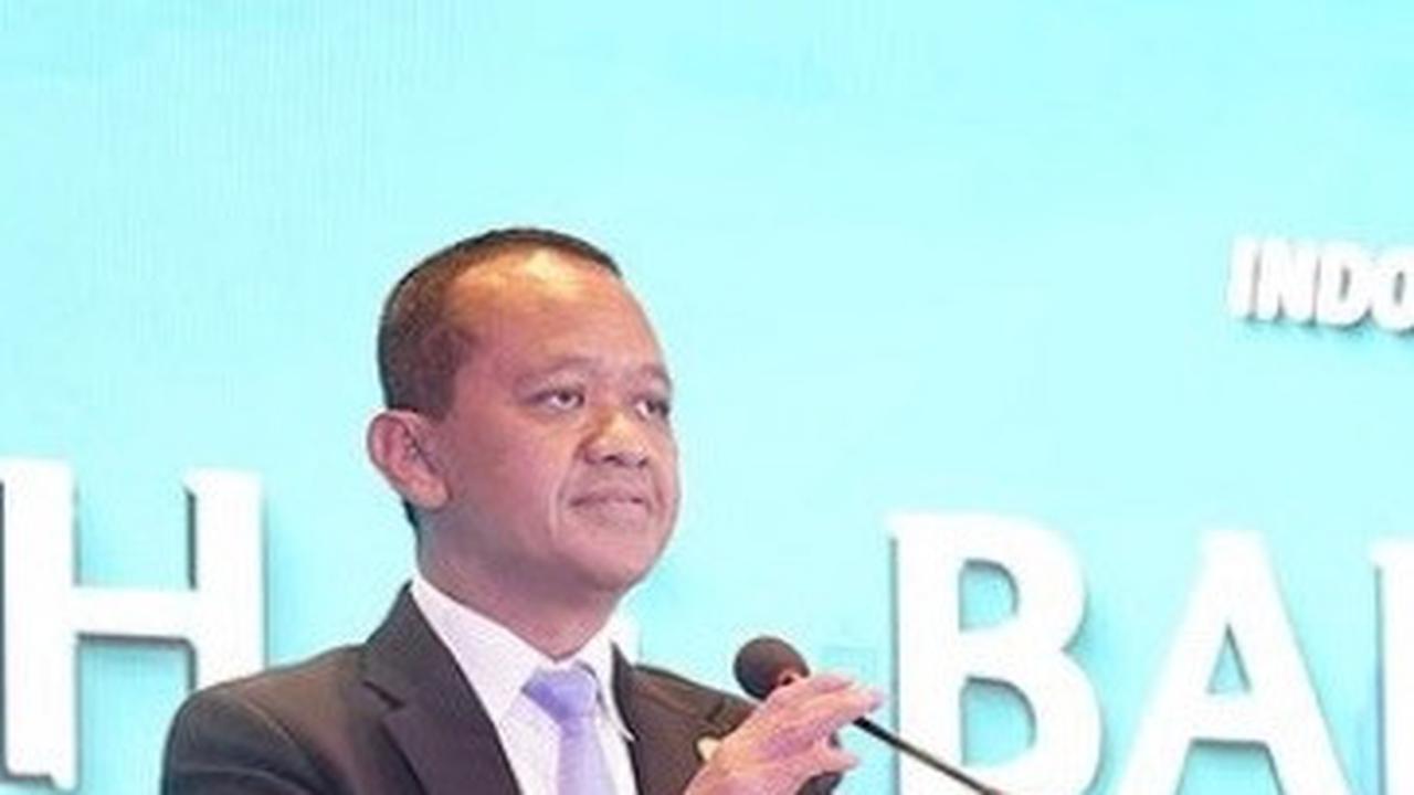 Bahli Lahadalia memiliki 10 perusahaan di berbagai bidang di bawah nama PT Rifa Capital sebagai perusahan induk. Ia juga menjadi pengurus HIPMI periode 2015-2019.