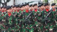 Ilustrasi TNI (Foto: setkab.go.id)