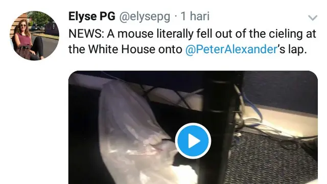 Post Twitter (Elyse PG)