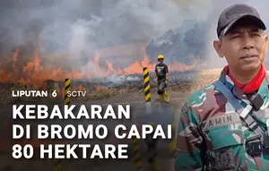 Kebakaran di Bromo Capai 80 Hektare
