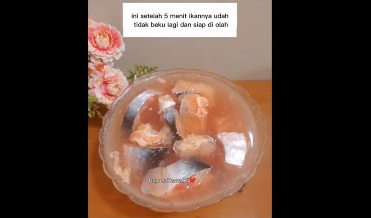 <b>Ikan Siap Diolah</b><br>