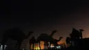Bintang-bintang terlihat di gurun Mutriba Kuwait, 100 km barat laut ibu kota Kuwait City (13/10/2020). (AFP/Yasser Al-Zayyat)