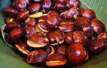 Apakah Jengkol Menyebabkan Darah Tinggi? Fakta dan Mitos Seputar Konsumsi Jengkol