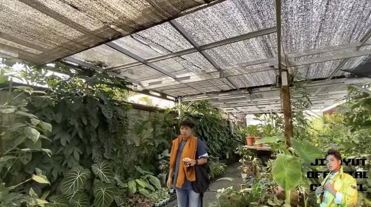 Potret Halaman Belakang Rumah Soimah di Jogja/Youtube/Jirayut Official Channel