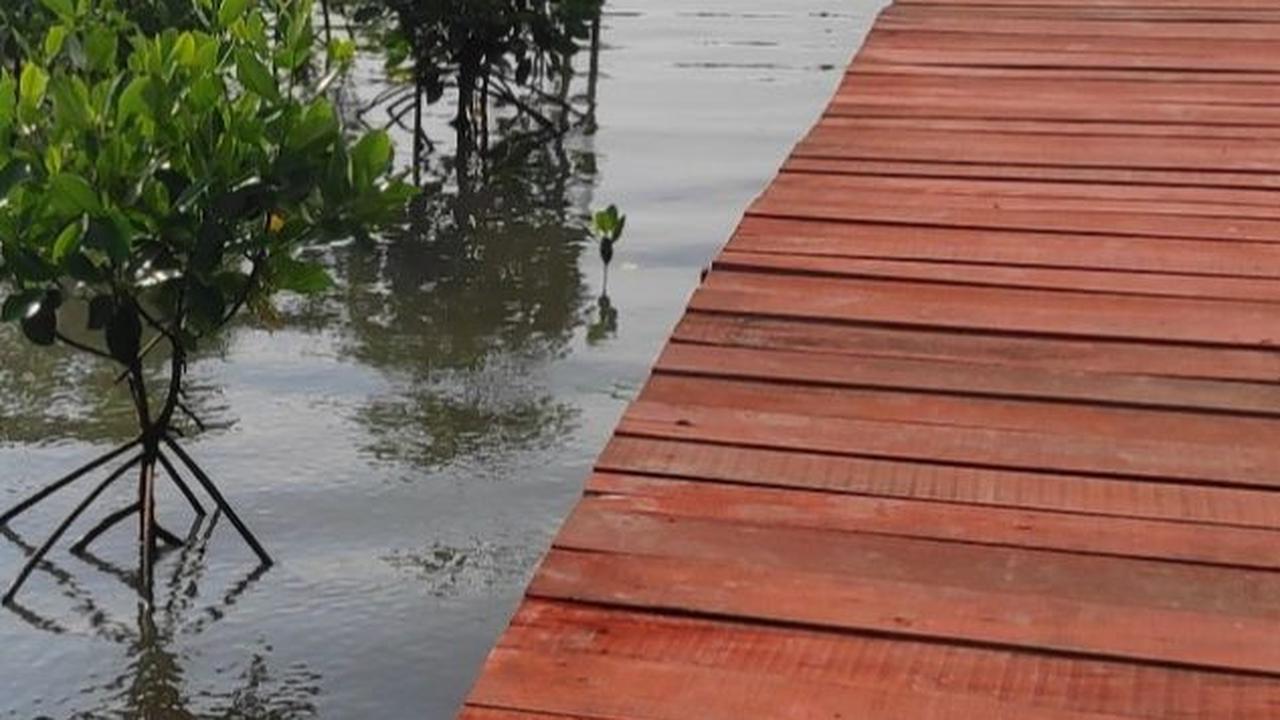 6.	Maron Mangrove Edupark