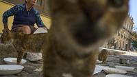 Nelida Perez Gonzalez memberi makan kucing jalanan di Havana, Kuba, pada Kamis (24/8/2025). (Dok. AP/Ramon Espinosa)