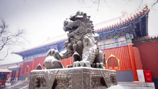Ilustrasi salju di China (iStock)