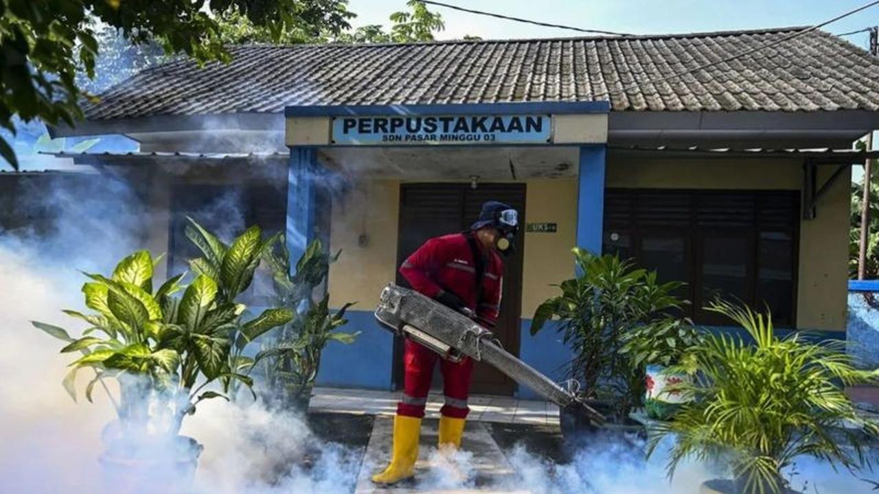 Tren Kasus DBD Jakarta Meningkat di Awal 2026, Dinkes Perkuat Pencegahan