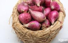Mengapa Harga Bawang Merah Naik Drastis? Temukan Penyebabnya!