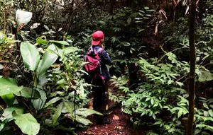 Kelelahan Kronis Bisa Menjadi Petunjuk Kondisi yang Tak Disadari