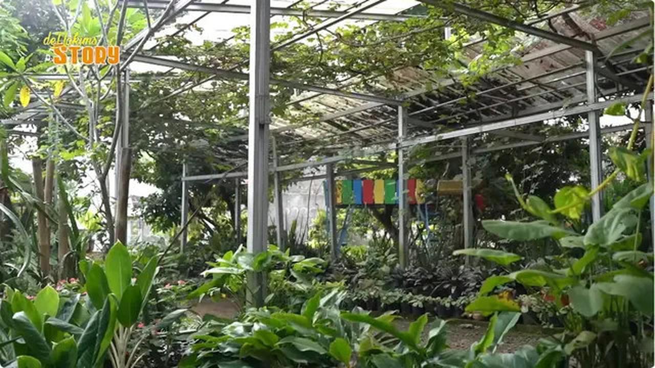 5 Potret Halaman Rumah Mamah Dedeh di Ciseeng Bogor, Asri Penuh Tanaman Hijau dan Kolam Ikan