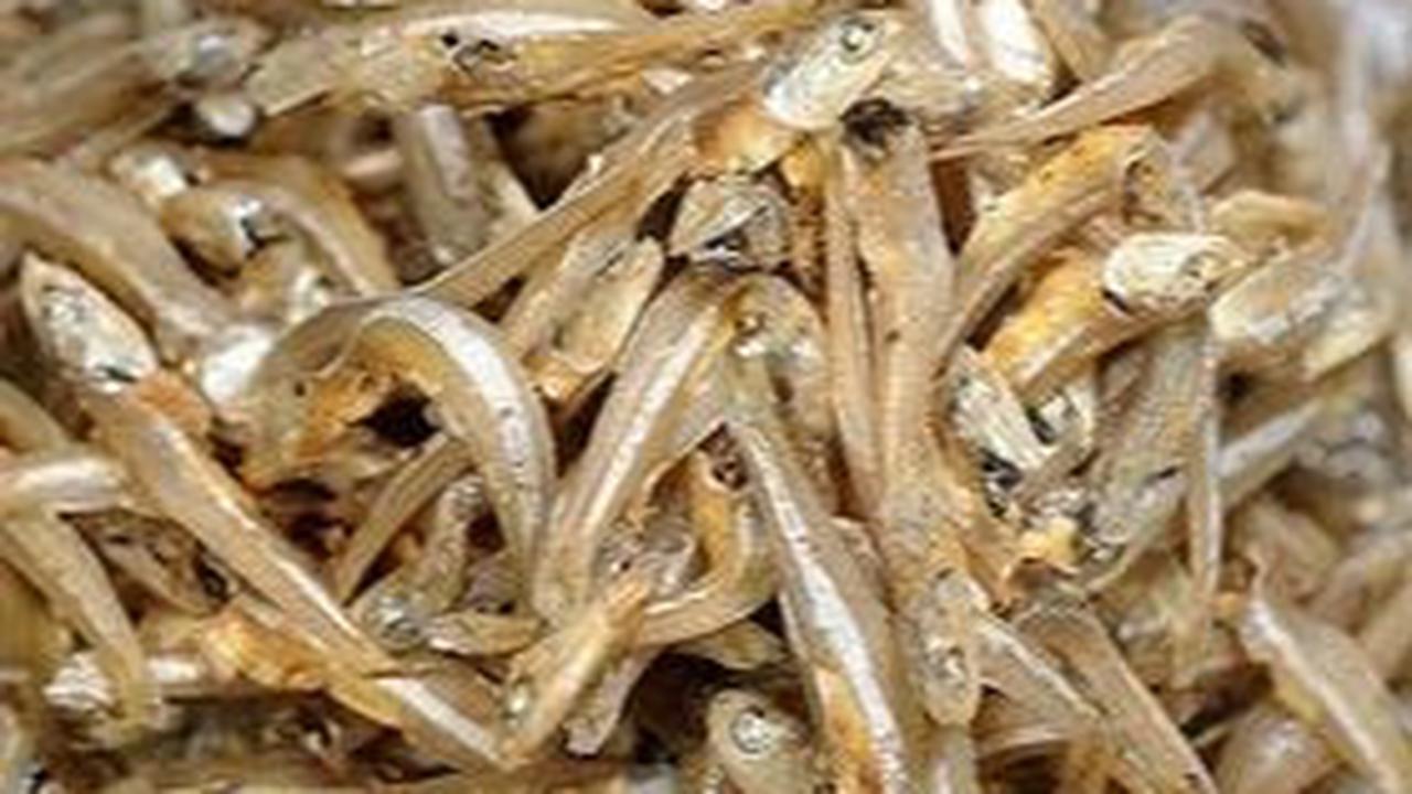 <b>2. Ikan Teri</b>