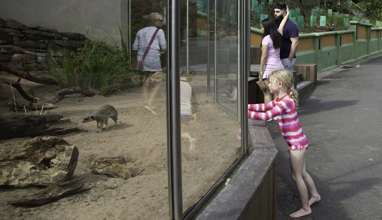 Sejumlah orang mengunjungi Kebun Binatang Taronga di tengah pandemi COVID-19, Sydney, Australia, 3 September 2020. Beberapa kebun binatang dan taman margasatwa di Sydney sudah kembali dibuka untuk umum. (Xinhua/Hu Jingchen)