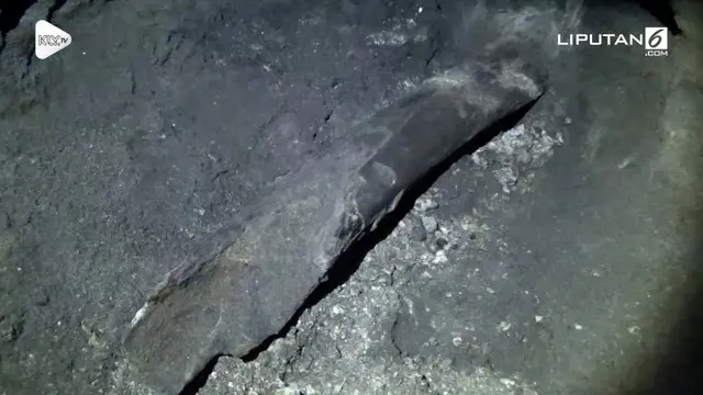 Seorang warga tak sengaja temukan fosil gading gajah berusia 700 ribu tahun di dalam tangki septik.
