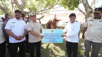 Kasatgas Tito Karnavian Serahkan Bantuan Sapi Presiden Prabowo untuk Warga Terdampak Bencana di Aceh