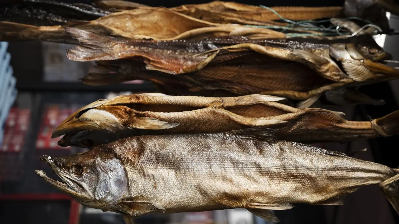 Ilustrasi Ikan kering yang menjadi bahan utama  Masmouta. (Freepik/Arsip)