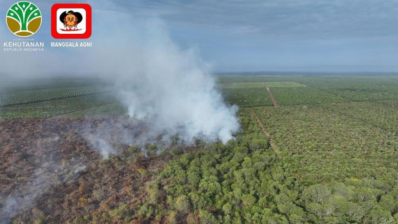 Riau Tetapkan Status Siaga Darurat Karhutla Hingga November 2026