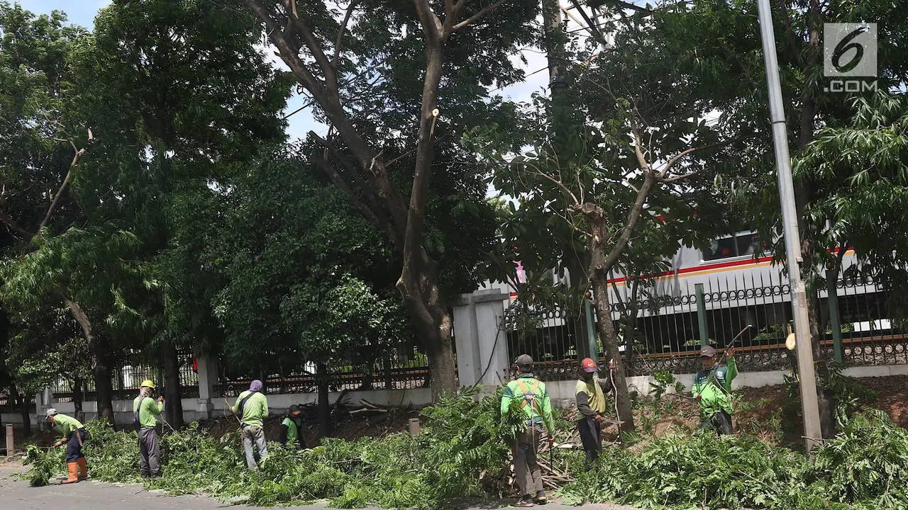 Antisipasi Musim Hujan dan Angin Kencang, Petugas Pangkas Pohon di Lenteng Agung