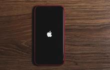 iPhonenya Hilang, Pemilik Bikin Pengumuman Sampai Ancam Kirim Santet ke Pencuri