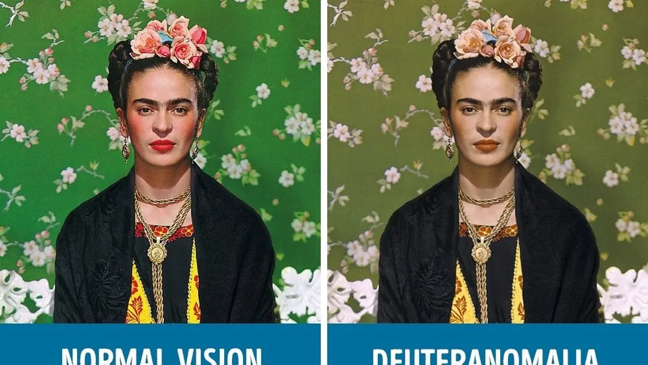 [Bintang] 5 Perbedaan Penglihatan Mata Buta Warna dengan Mata Normal