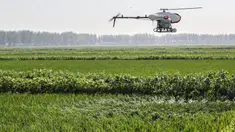 Foto pada 19 Juni 2020 menunjukkan drone yang menyemprotkan pestisida di atas hamparan sawah di Kota Yingkou, Provinsi Liaoning, China timur laut. Sejumlah drone digunakan untuk menyemprotkan pestisida dalam pengelolaan sawah guna meningkatkan efisiensi di Yingkou. (Xinhua/Pan Yulong)