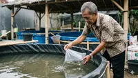 6 Cara Mempercepat Pertumbuhan Lele di Kolam Terpal untuk Panen Melimpah, Untung Besar