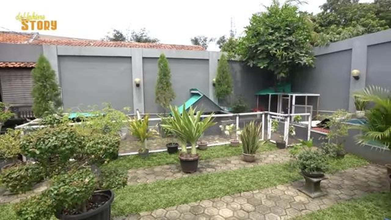 Tinggal di Gang Sempit, Ini 8 Potret Kebun dan Kandang Hewan di Rumah Ayu Ting Ting
