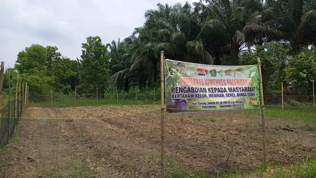Kunyit Putih Dilirik Jadi Pengobatan Tradisional Tangkal COVID-19