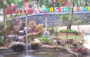 Viral Harimau di Semarang Zoo Mati Diduga karena Salah Anestesi