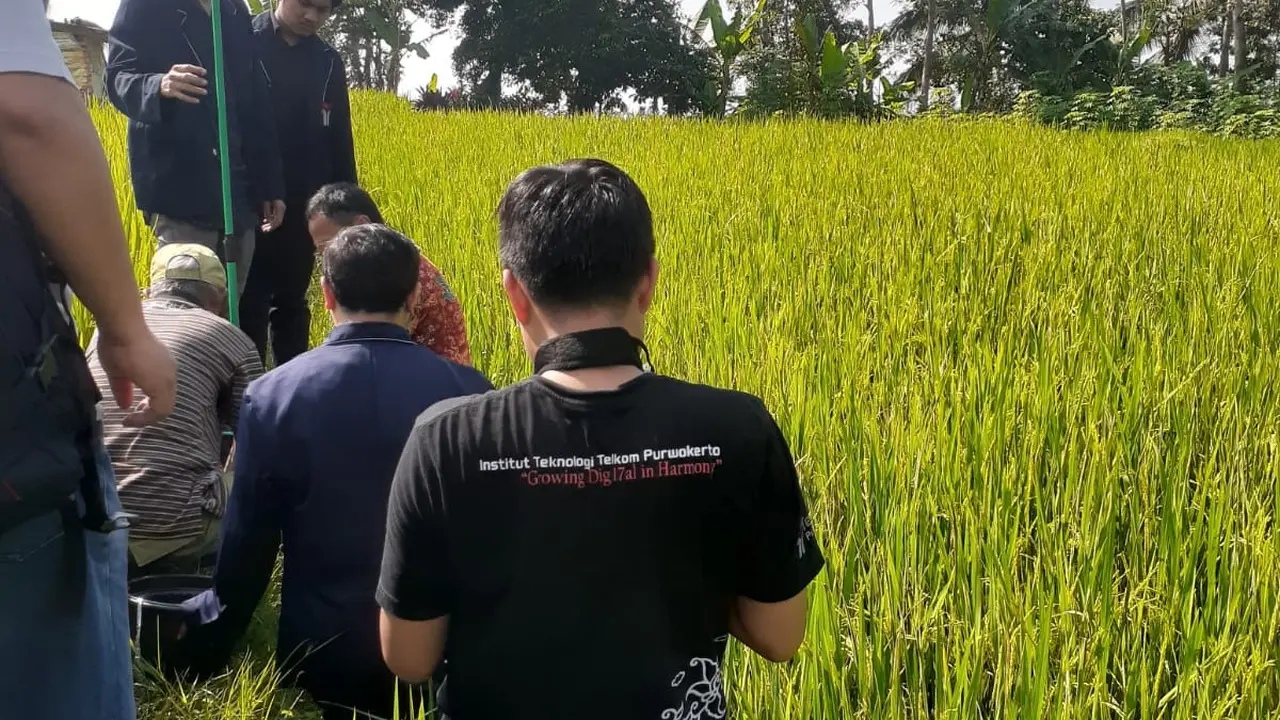 Pemasangan alat canggih pengusir burung emprit berteknologi ultrasonik. (Foto: Liputan6.com/Istimewa)