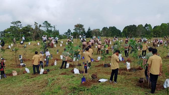 KLH Pelopori Arboretum Puncak Bogor: Langkah Vital Pulihkan Hulu Ciliwung dengan 350 Bibit Endemik
