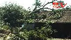 liputan6