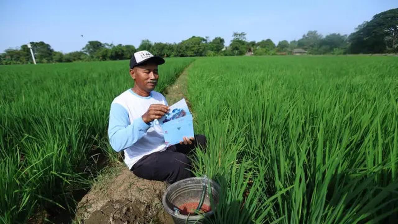 Dari Jalanan, Sawah, hingga Pantai: Warga Bersiap Penuhi Undangan Presiden ke Istana Merdeka